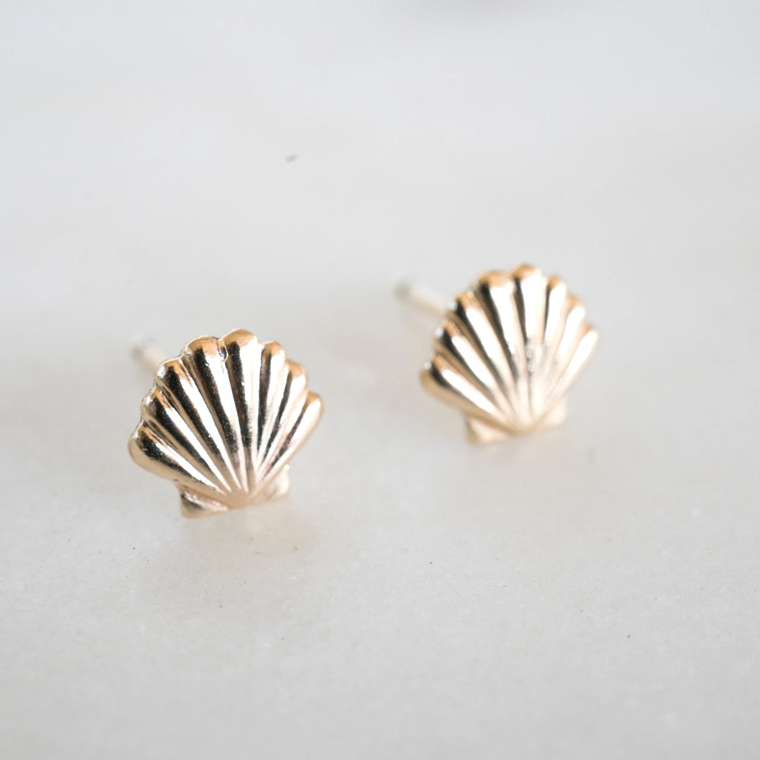 Gold Filled Seashell Studs