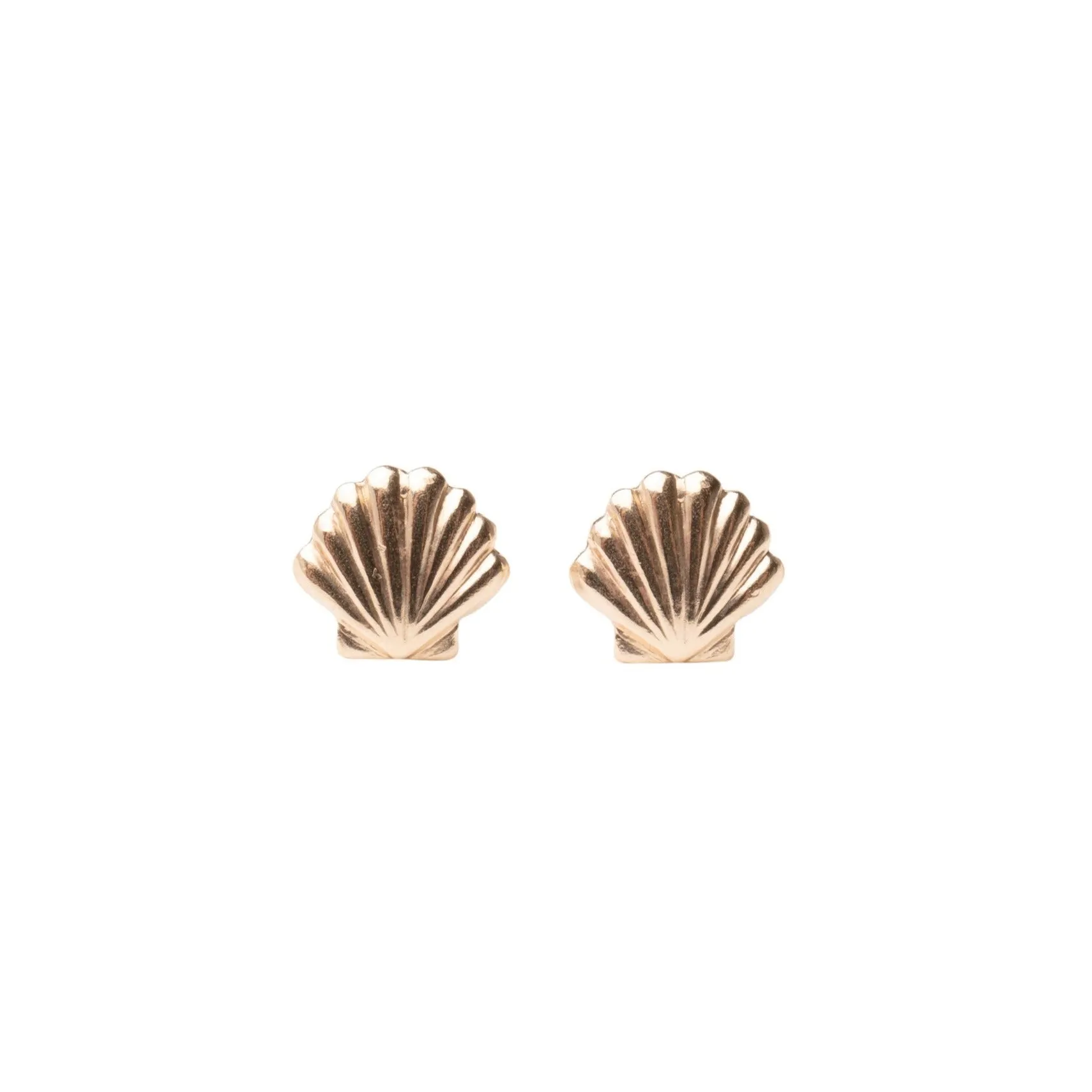 Gold Filled Seashell Studs