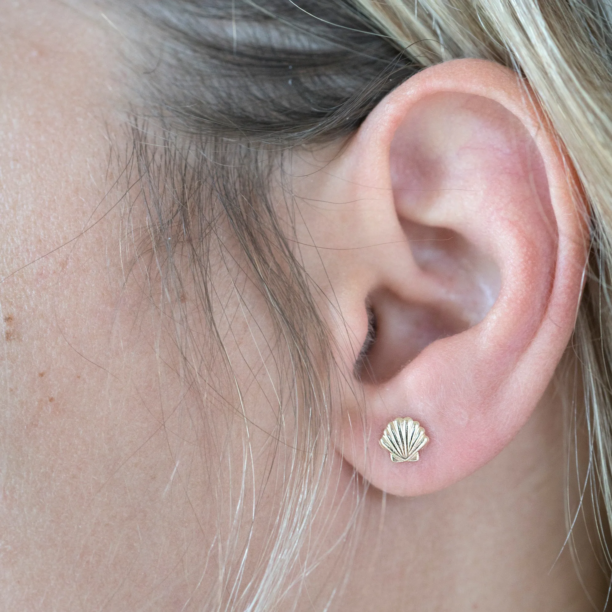 Gold Filled Seashell Studs