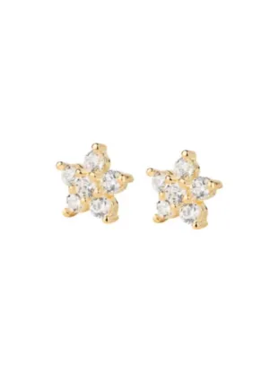 Pico Copenhagen - Blossom Studs - Clear